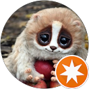 Anmelderen fra København profile picture
